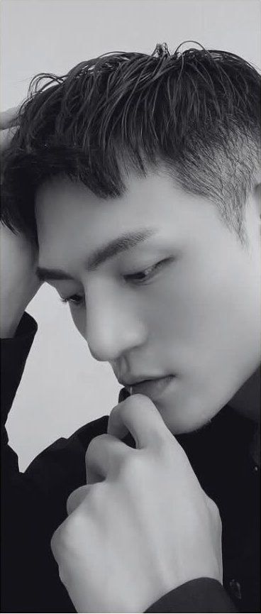 Lin 藝術總監